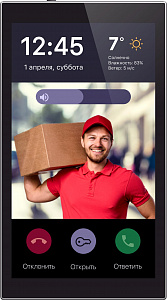 Панель настенная iRidi 6" Touch Panel P6-mb