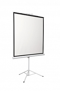 Экран на штативе Digis DSKD-4304 Экран на штативе Digis DSKD-4304